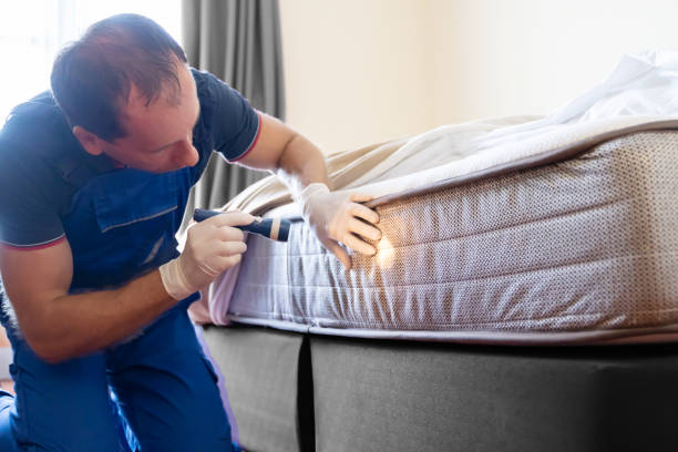 Best Bed Bug Extermination  in White Horse, NJ